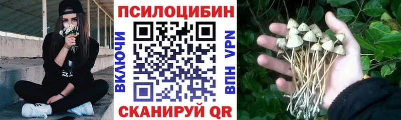 Псилоцибиновые грибы ЛСД  наркота  Злынка 